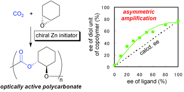 Graphical abstract: Asymmetric amplification in asymmetric alternating copolymerization of cyclohexene oxide and carbon dioxide