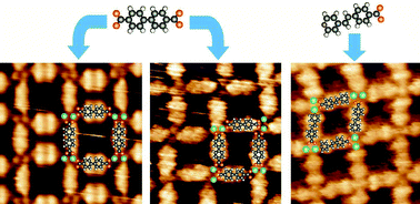 Graphical abstract: Manipulating 2D metal–organic networks via ligand control