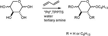 Graphical abstract: Telomerization of butadiene with pentoses in water: selective etherifications