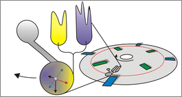 Graphical abstract: Batch-mode mixing on centrifugal microfluidic platforms
