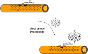 Graphical abstract: Multiwalled carbon nanotubes in donor–acceptor nanohybrids—towards long-lived electron transfer products