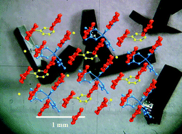 Graphical abstract: A novel paramagnetic molecular superconductor formed by bis(ethylenedithio)tetrathiafulvalene, tris(oxalato)ferrate(iii) anions and bromobenzene as guest molecule: ET4[(H3O)Fe(C2O4)3]·C6H5Br