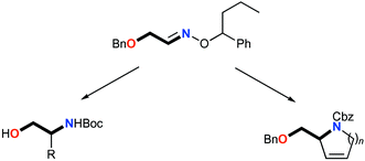Graphical abstract: Chiral oxime ethers in asymmetric synthesis. O-(1-Phenylbutyl)benzyloxyacetaldoxime, a versatile reagent for the asymmetric synthesis of protected 1,2-aminoalcohols, α-amino acid derivatives, and 2-hydroxymethyl nitrogen heterocycles including iminosugars