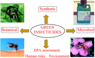 Graphical abstract: New trends in pest control: the search for greener insecticides