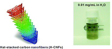 Graphical abstract: Strict preparation and evaluation of water-soluble hat-stacked carbon nanofibers for biomedical application and their high biocompatibility: influence of nanofiber-surface functional groups on cytotoxicity