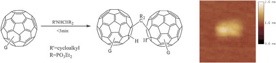 Graphical abstract: Facile and potent synthesis of carbon bridged fullerene dimers (HC60–CR2–C60H type)
