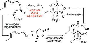 Graphical abstract: On the Diels–Alder reactions of pentadienyl maleates and citraconates