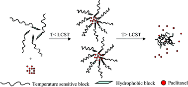 Graphical abstract: Thermally sensitive micelles self-assembled from poly(N-isopropylacrylamide-co-N,N-dimethylacrylamide)-b-poly(d,l-lactide-co-glycolide) for controlled delivery of paclitaxel