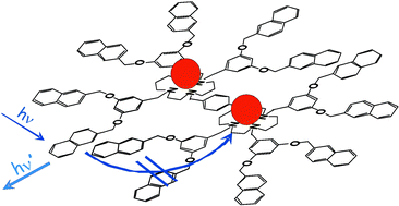 Graphical abstract: Dendrimers based on a bis-cyclam core as fluorescence sensors for metal ions
