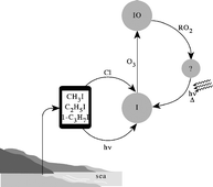 Graphical abstract: A discharge–flow study of the kinetics of the reactions of IO with CH3O2 and CF3O2