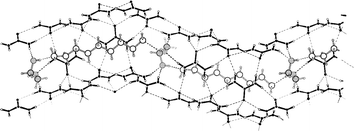 Graphical abstract: Hydrogen-bonded chains of α,ω-diaminoalkane and α,ω-dihydroxyalkane guest molecules lead to disrupted tunnel structures in urea inclusion compounds