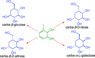 Graphical abstract: Chemoenzymatic synthesis of carbasugars from iodobenzene