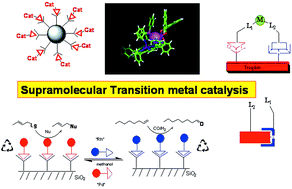 Graphical abstract: New directions in supramolecular transition metal catalysis