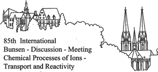 Graphical abstract: Chemical processes of ions—transport and reactivity 85th International Discussion Meeting of the Deutsche Bunsen-Gesellschaft für Physikalische Chemie, Marburg, 15–17 September, 2004