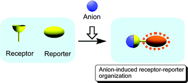 Graphical abstract: Detection of anions using a fluorescent alizarin–phenylboronic acid ensemble