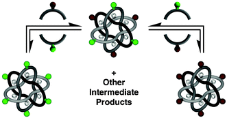 Graphical abstract: Dynamic nanoscale Borromean links