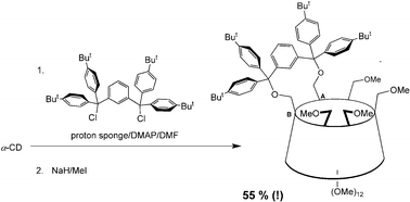Graphical abstract: A new approach to A,B-difunctionalisation of cyclodextrins using bulky 1,3-bis[bis(aryl)chloromethyl]benzenes as capping reagents