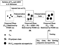 Graphical abstract: One-step seed dispersion polymerisation in supercritical carbon dioxide