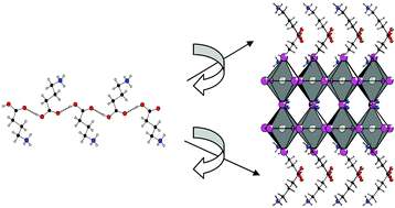 Graphical abstract: (HO2C(CH2)3NH3)2(CH3NH3)Pb2I7: a predicted non-centrosymmetrical structure built up from carboxylic acid supramolecular synthons and bilayer perovskite sheets