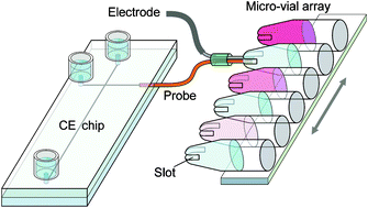 Graphical abstract: An automated electrokinetic continuous sample introduction system for microfluidic chip-based capillary electrophoresis