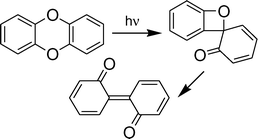 Graphical abstract: Photochemical rearrangement of dibenzo[1,4]dioxins proceeds through reactive spirocyclohexadienone and biphenylquinone intermediates