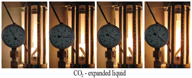 Graphical abstract: Biphasic hydrogenation of α-pinene in high-pressure carbon dioxide