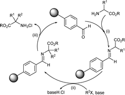 Graphical abstract: Wang-aldehyde resin as a recyclable support for the synthesis of α,α-disubstituted amino acid derivatives