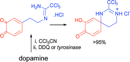 Graphical abstract: Oxidation of N-substituted dopamine derivatives: irreversible formation of a spirocyclic product