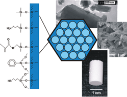 Graphical abstract: Simultaneous drying and chemical modification of hierarchically organized silica monoliths with organofunctional silanes