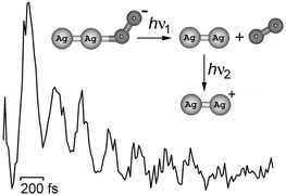Graphical abstract: Ultrafast nuclear dynamics induced by photodetachment of Ag2− and Ag2O2−: oxygen desorption from a molecular silver surface