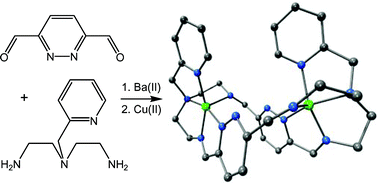 Graphical abstract: Dimetallic complexes of a structurally versatile pyridazine-containing Schiff-base macrocyclic ligand with pendant pyridine arms