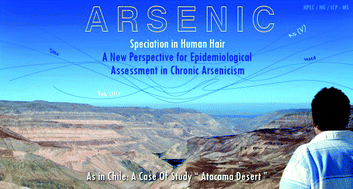 Graphical abstract: Arsenic speciation in human hair: a new perspective for epidemiological assessment in chronic arsenicism