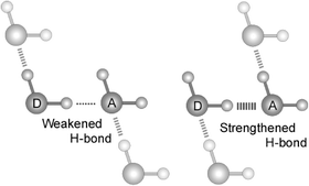 Graphical abstract: The effect of cooperative hydrogen bonding on the OH stretching-band shift for water clusters studied by matrix-isolation infrared spectroscopy and density functional theory