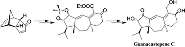 Graphical abstract: A total synthesis of guanacastepene C