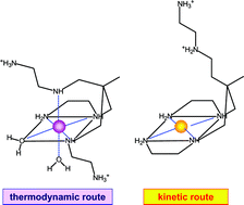 Graphical abstract: Yellow transient forms in the decomposition in acidic solution of the blue–violet nickel(ii) complex of a trifurcated hexamine