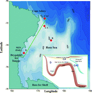Graphical abstract: Summer distribution of trace metals in the western sector of the Ross Sea, Antarctica