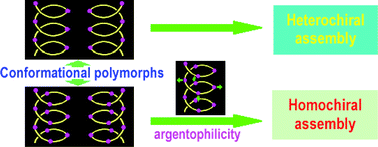 Graphical abstract: Controlled generation of heterochiral or homochiral coordination polymer: helical conformational polymorphs and argentophilicity-induced spontaneous resolution