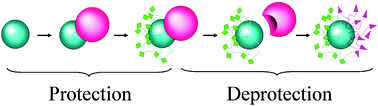 Graphical abstract: Towards large amounts of Janus nanoparticles through a protection–deprotection route