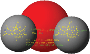 Graphical abstract: An efficient microwave-assisted green transformation of fused succinic anhydrides into N-aminosuccinimide derivatives of bicyclo[2.2.2]octene in water