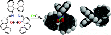 Graphical abstract: Iron(ii) and zinc(ii) monohelical binaphthyl salen complexes