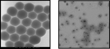 Graphical abstract: Synthesis of poly(ε-caprolactone)–silica nanocomposites: from hairy colloids to core–shell nanoparticles