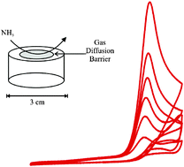 Graphical abstract: The electrochemical oxidation of ammonia at boron-doped diamond electrodes exhibits analytically useful signals in aqueous solutions