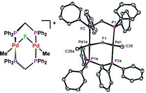 Graphical abstract: Routes to unique palladium A-frame complexes with a bridging fluoro-ligand