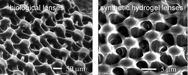 Graphical abstract: Synthesis of photoacid crosslinkable hydrogels for the fabrication of soft, biomimetic microlens arrays