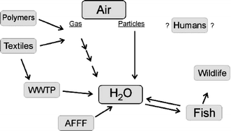 Graphical abstract: Aquatic Processes and Systems in Perspective Global transport and fate of perfluorochemicals