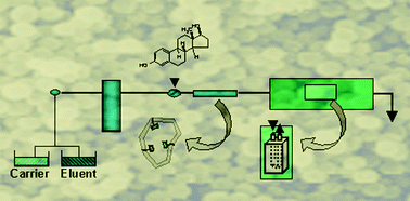 Graphical abstract: Flow injection fluorimetric determination of β-estradiol using a molecularly imprinted polymer