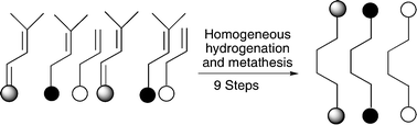 Graphical abstract: A one pot, metathesis–hydrogenation sequence for the selective formation of carbon–carbon bonds