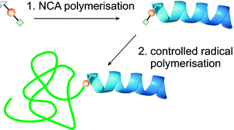 Graphical abstract: Synthesis of polypeptide based rod–coil block copolymers
