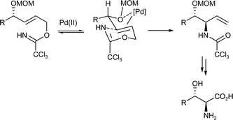 Graphical abstract: Stereoselective β-hydroxy-α-amino acid synthesis via an ether-directed, palladium-catalysed aza-Claisen rearrangement