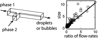 Graphical abstract: Formation of droplets and bubbles in a microfluidic T-junction—scaling and mechanism of break-up
